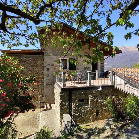 Apartment Oro Del Lario-2 By Interhome Bellano Dış mekan fotoğraf