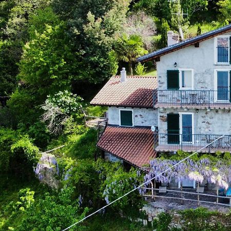 Apartment Oro Del Lario-2 By Interhome Bellano Dış mekan fotoğraf
