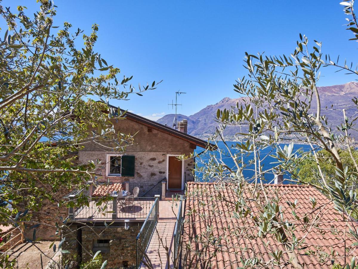 Apartment Oro Del Lario-2 By Interhome Bellano Dış mekan fotoğraf