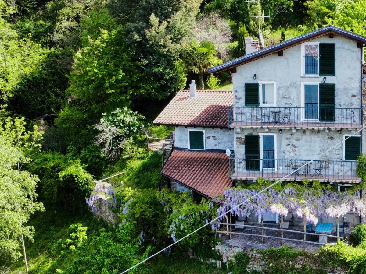 Apartment Oro Del Lario-2 By Interhome Bellano Dış mekan fotoğraf